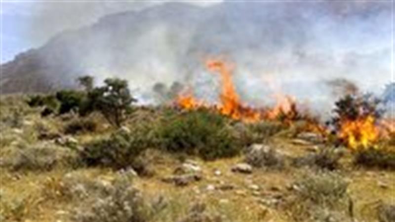 حریق در مراتع جنگل ابر شاهرود