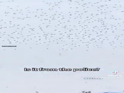 خراب شدن نمایش پهپادی در چین