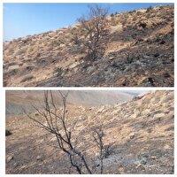 مهار آتش‌سوزی ارتفاعات سیاه کوه منطقه چشمه ملکی خضری دشت بیاض