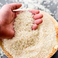گرانی برنج زیر ذره‌بین نهادهای قضایی؛ برخورد با تخلفات بازار کالا