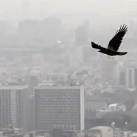 درخواست افزایش دستمزد مشاوران املاک