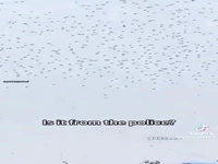 خراب شدن نمایش پهپادی در چین
