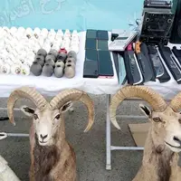 عکس/ کشفیات جدید پلیس کرمان