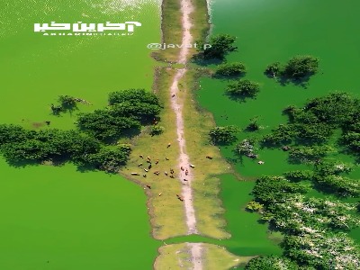 تالاب زیبای استیل در آستارا