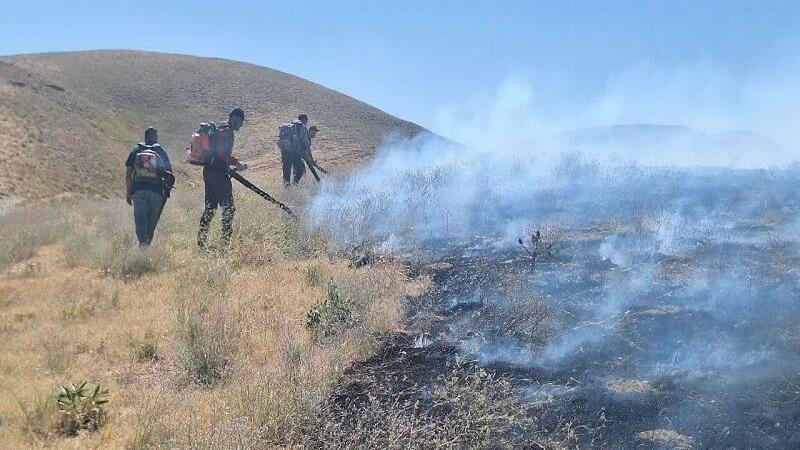 ۱۶۰ هکتار از مراتع و جنگلهای سنندج طعمه حریق شد