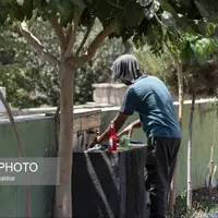 عکس/ موج جدید گرما در البرز