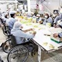 امسال۷۵۰ زمینه اشتغال برای مددجویان خراسان شمالی ایجاد می‌شود