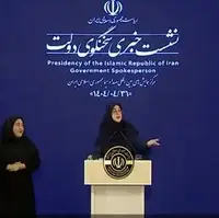 واکنش جالب سخنگوی دولت به درخواست خبرنگار: چشم، می گفتید مادر کاری نداره که!