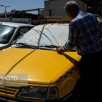 عکس/ موج جدید گرما در مشهد