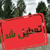 منطقه آزاد انزلی تعطیل شد