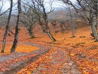 زیبایی روستای چورت ساری