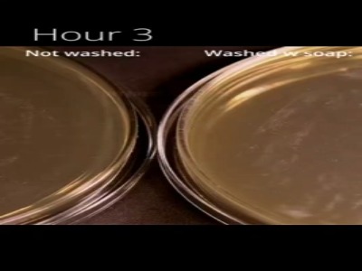 تاثیر شگفت انگیز شستن دست در تمیزی!