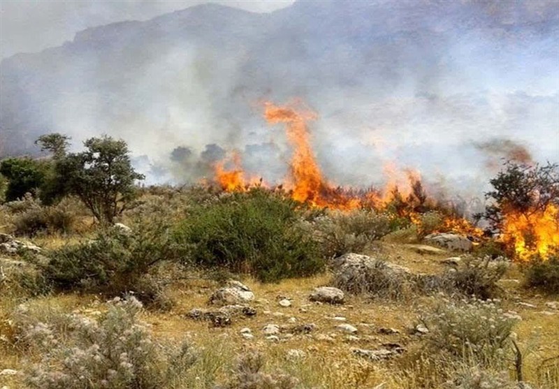 شناسایی ۱۵۰ نقطه بحرانی آتش‌سوزی در لرستان