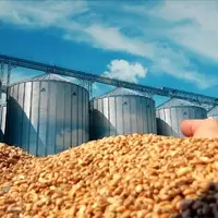  لحظه فرو ریختن یک مخزن بزرگ ذخیره گندم