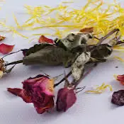 دیگه گل های پژمرده رو دور ننداز!