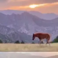 بهشت زیبای درگز در خراسان