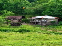 گالشکلا در مسیر‌ آبشار اسکلیم