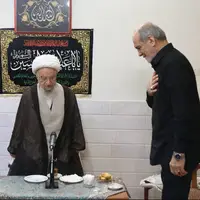 عکس/ دیدار پزشکیان با آیت‌الله مکارم شیرازی 