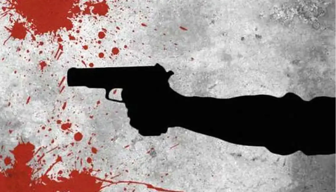 خون، دود، هفت‌تیر؛ جنایت به‌سبک گنگسترها