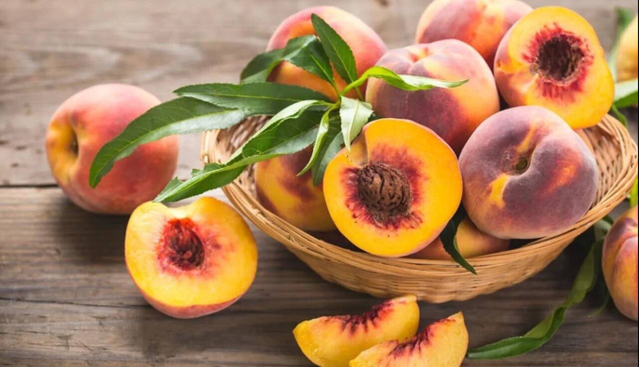 این میوه تابستانی خواص دارویی بی نظیری دارد
