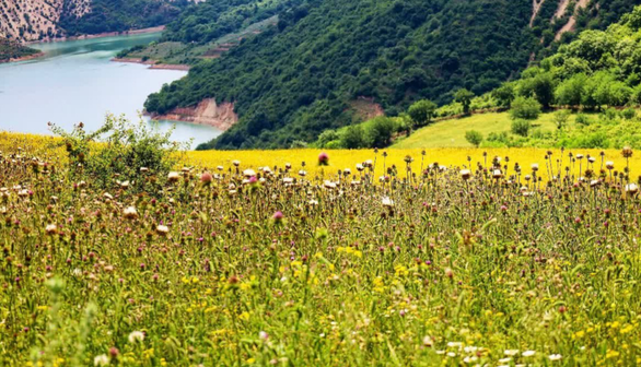ماندگاری هوای گرم و شرجی در مازندران