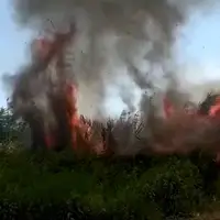 آتش سوزی شدید در تالاب انزلی 