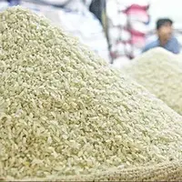 خشکسالی نیمی از برنج امسال را واردتی کرد