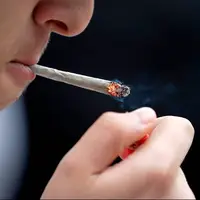 تعداد استفاده از سیگار در روز به هر شکل و اندازه عارضه یکسان دارد