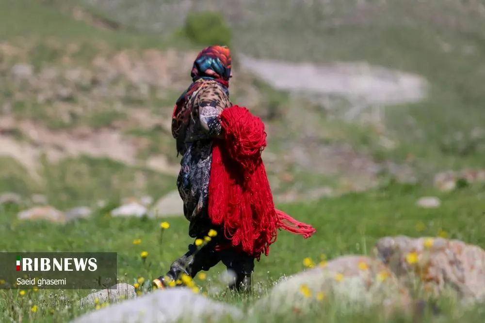 پشم شویی؛ سنت کهن عشایر ارسباران