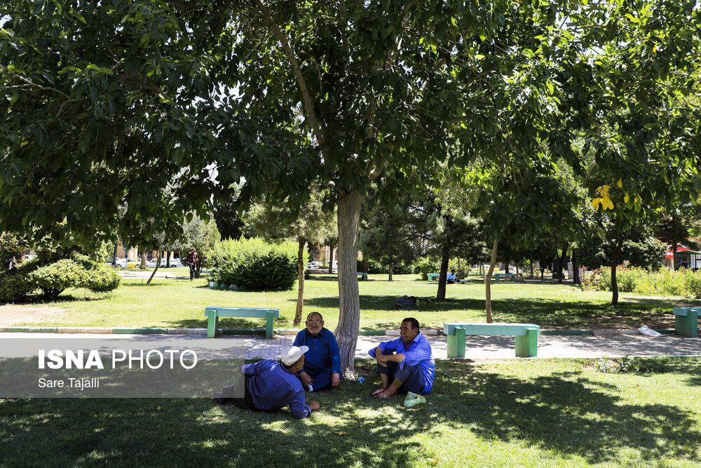 عکس/ موج جدید گرما در کرمان