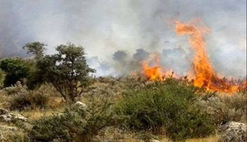 یکی از مصدومان آتشسوزی آبیدر جان باخت