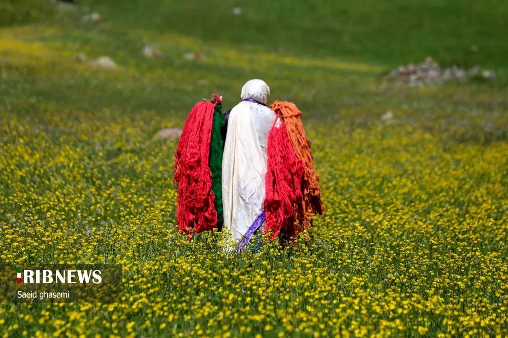 پشم شویی؛ سنت کهن عشایر ارسباران