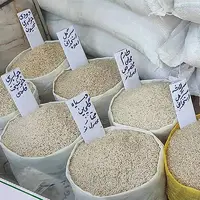 چرا قیمت برنج ایرانی از مرز ۳۰۰ هزار تومان عبور کرد؟
