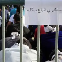 پلیس ۳۳۴ تبعه غیرمجاز را در زابل دستگیر کرد