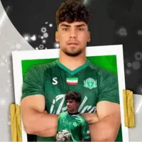 آلومینیوم دروازه‌بان جدید جذب کرد