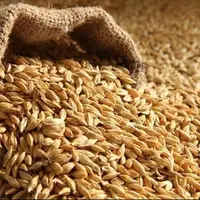 ثبت سفارش جدید جو فردا آغاز می‌شود