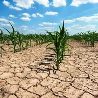 عضو هیأت نمایندگان اتاق بازرگانی تهران: ایران حتی به خودکفایی نسبی هم نمی‌رسد