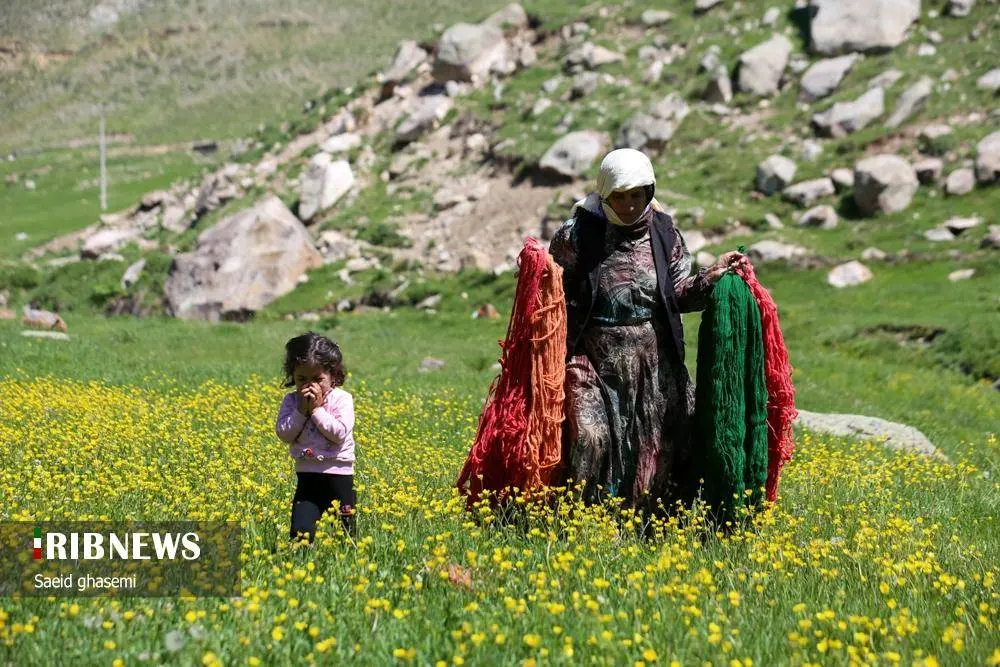 پشم شویی؛ سنت کهن عشایر ارسباران