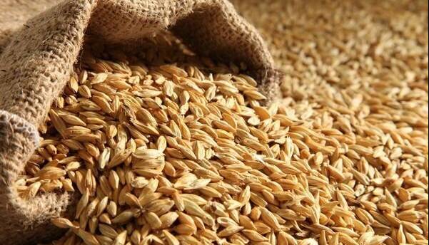 ثبت سفارش جدید جو فردا آغاز میشود