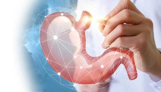 وقتی تنبلی معده دارید و نمی‌دانید/ توصیه‌های غذایی برای این وضعیت