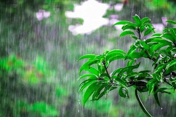 احتمال بارش‌ پراکنده باران در همدان