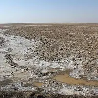 باتلاق و گرما جان یکی از کارکنان شرکت اکتشاف نفت را گرفت