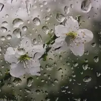 کاهش ۴۰ درصدی بارش باران در قزوین