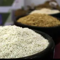دلالان و واسطه گران همچنان متهمان اصلی گرانی برنج
