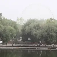 وزش باد خسارت‌زا در خراسان رضوی شدت می‌گیرد