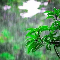 احتمال بارش‌ پراکنده باران در همدان