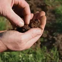 تاثیر رطوبت خاک در پایداری مخازن تأمین کننده آب شرب تهران