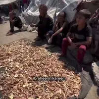 وضعیت انسانی بغرنج غزه؛ کودکان پوست سیب‌زمینی می‌خورند