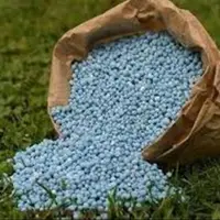 یک میلیون تن کود برای باغات کشور نیاز است