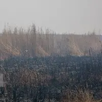 آغاز مهار آتش بخش عراقی «هورالعظیم» با هواپیمای آب‌پاش ایرانی